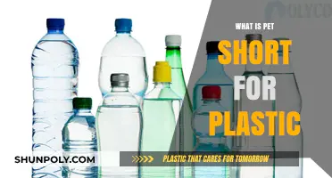 PET Plastic: What Does PET Stand For?