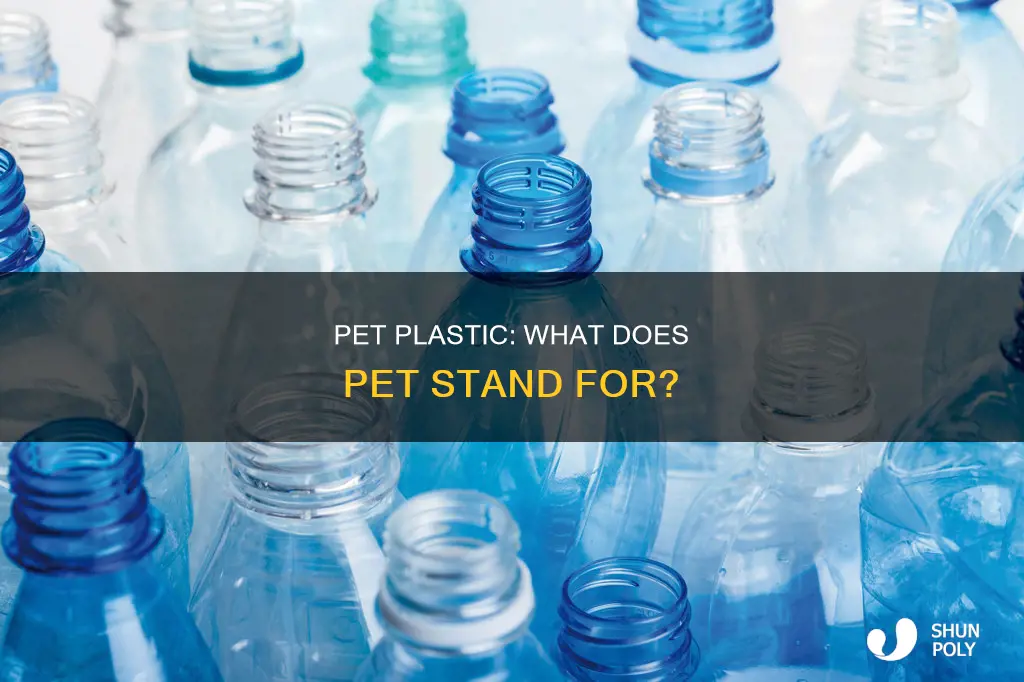 what is pet short for plastic