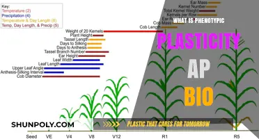 Phenotypic Plasticity: Nature's Adaptive Response