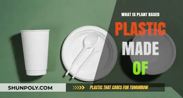 Understanding Plant-Based Plastic: Materials, Sources, and Eco-Friendly Composition