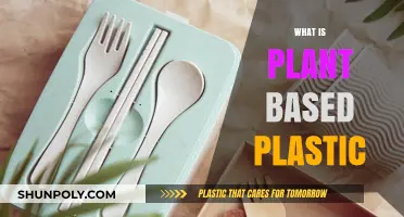 Eco-Friendly Alternatives: Understanding Plant-Based Plastics