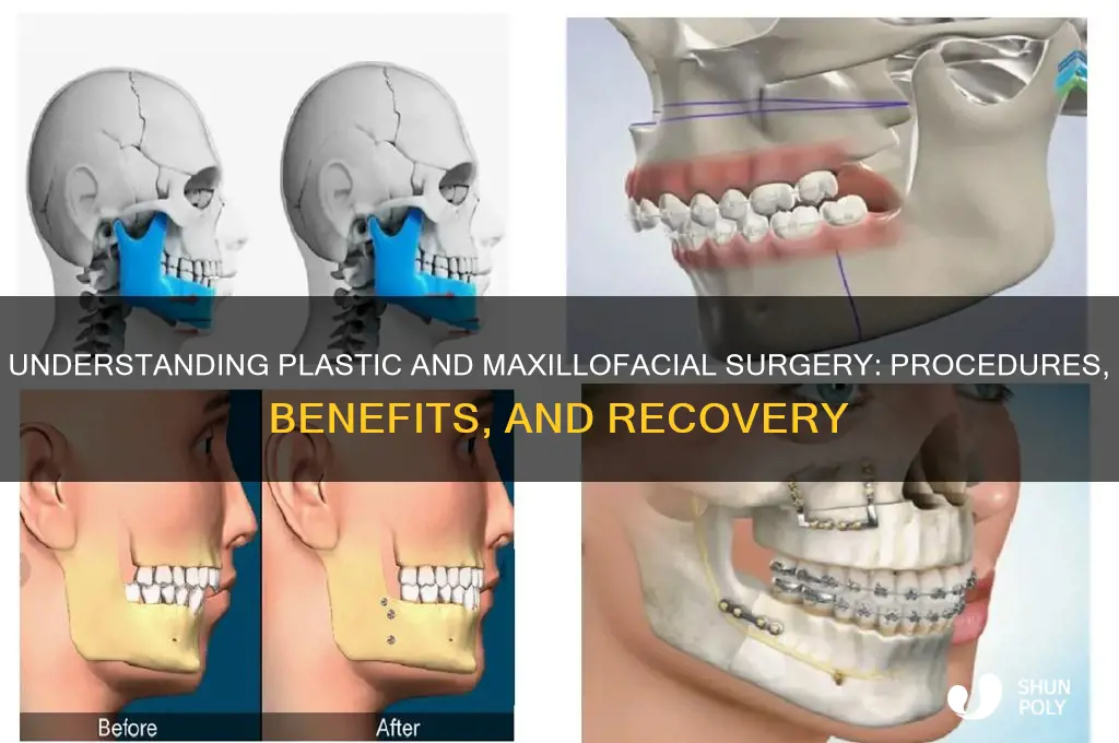 what is plastic and maxillofacial surgery