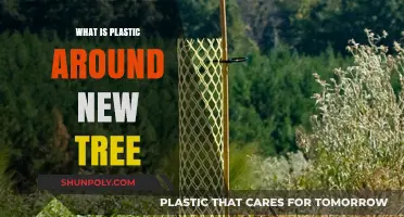 Protecting Trees: Plastic Wrap Benefits