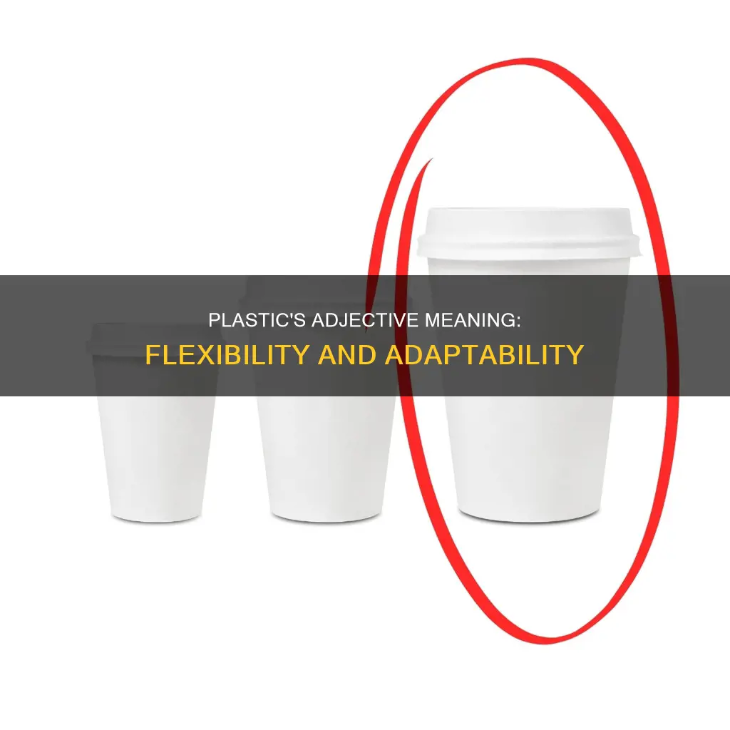 what is plastic as an adjective