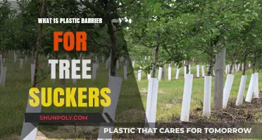 Tree Suckers: Plastic Barriers for Protection