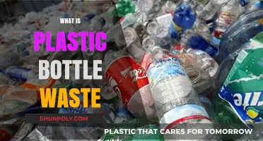 Understanding the Environmental Impact of Plastic Bottle Waste