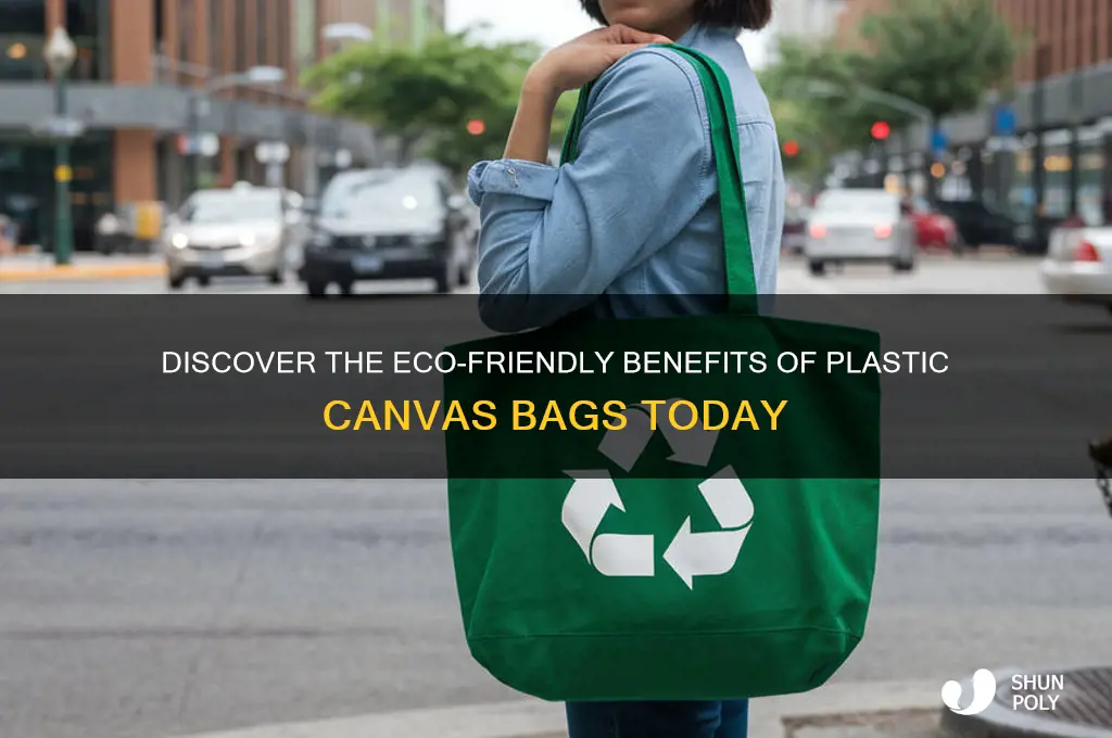 what is plastic canvas bags