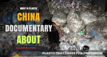 Plastic China: A Documentary on Environmental Impact