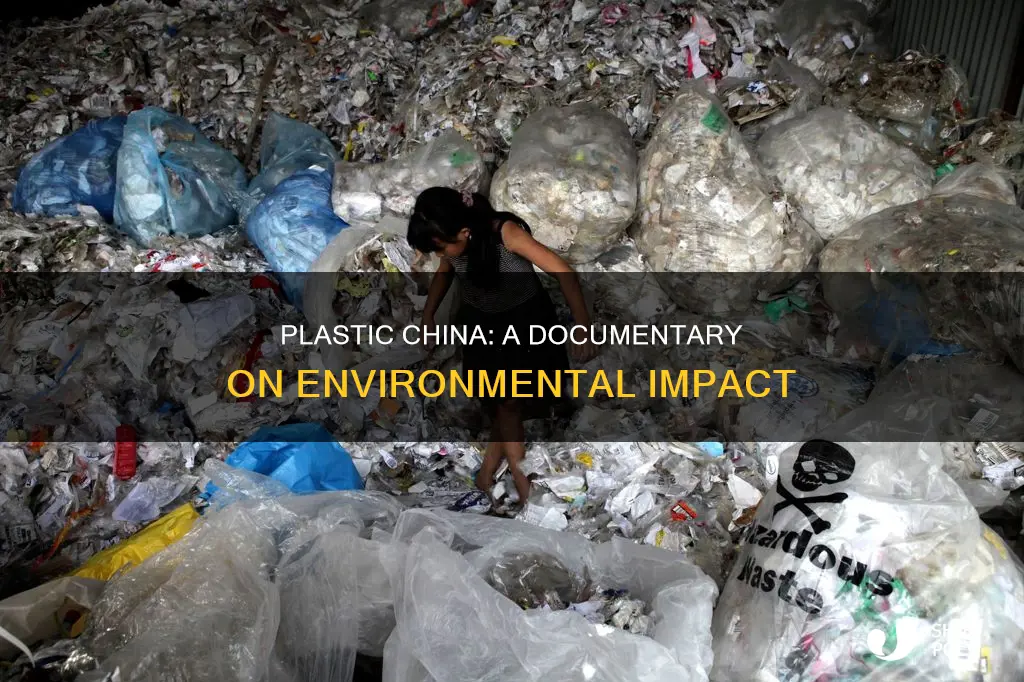 what is plastic china documentary about