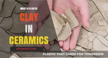 Plastic Clay: The Basics of Ceramic Art