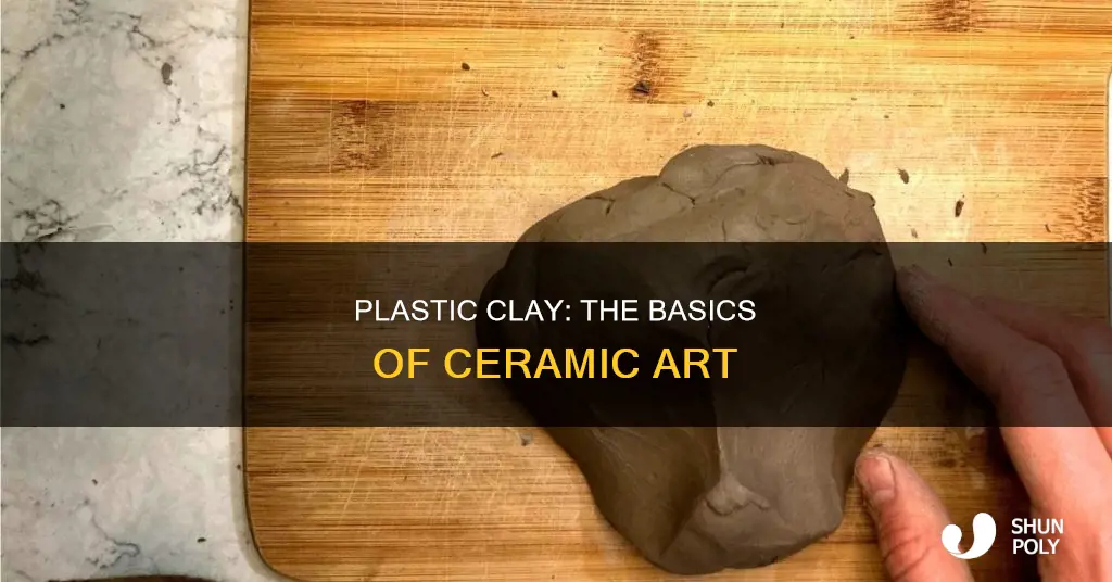 what is plastic clay in ceramics