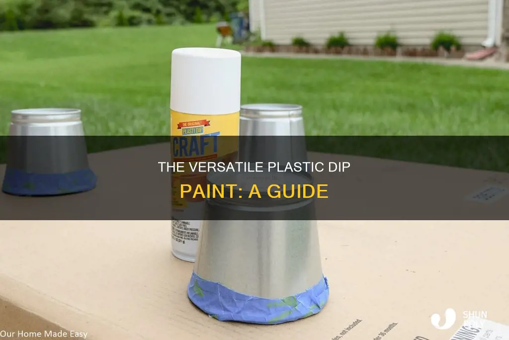 what is plastic dip paint