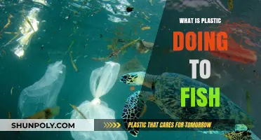 Plastic Impact: Fish and Ocean Health