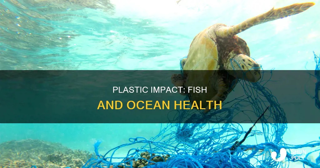 what is plastic doing to fish