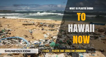 Hawaii's Battle: Plastic's Impact and the Fightback