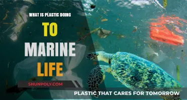 Plastic's Impact on Marine Life: Understanding the Devastation
