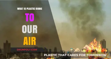Plastic Pollution: How It's Affecting Our Air