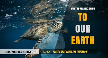 Plastic's Impact: Devastating Our Planet