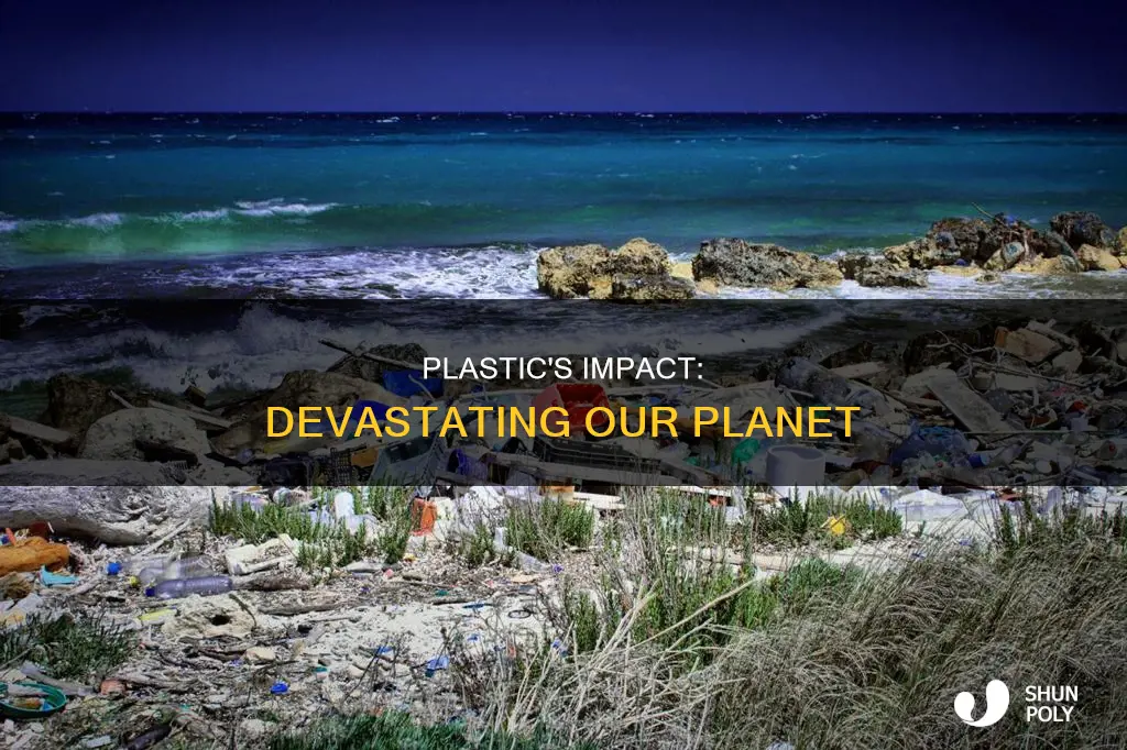 what is plastic doing to our earth
