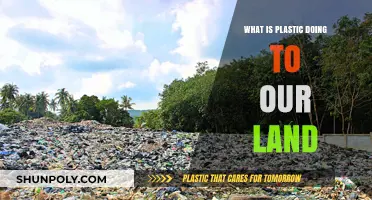 Plastic Pollution: Land Degradation and its Impact