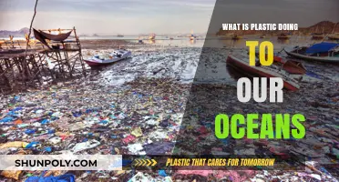The Ocean's Plastic Crisis: Understanding the Impact