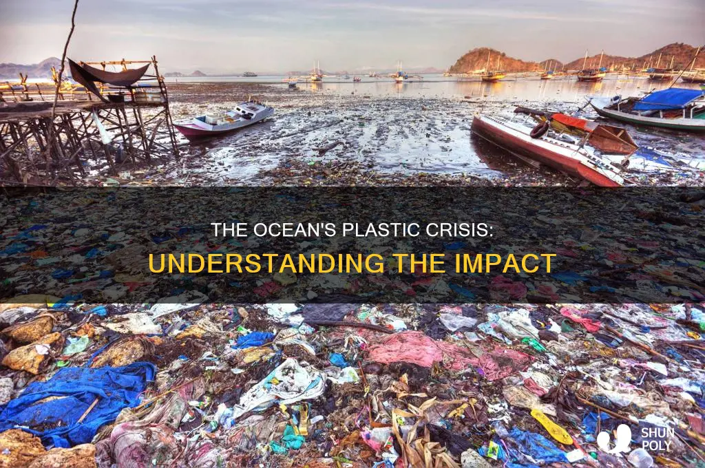 what is plastic doing to our oceans