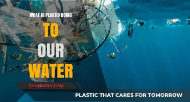 Plastic Pollution: Our Water's Silent Killer