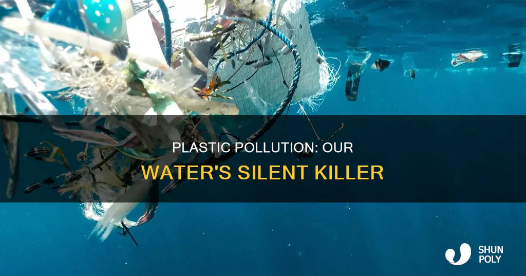 what is plastic doing to our water