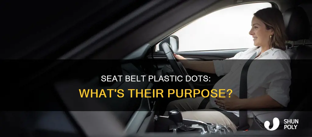 what is plastic dot on seat belt