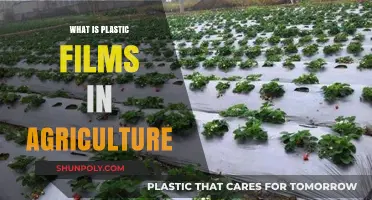 Plastic Films: Revolutionizing Modern Agriculture