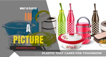 Plastic Pollution: A Picture's Worth