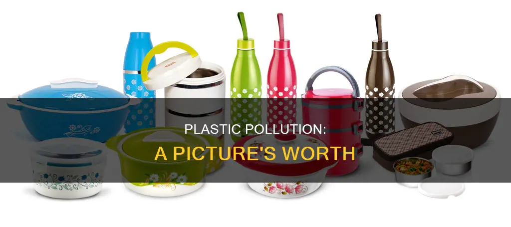 what is plastic in a picture