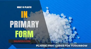 Plastic's Primary Form: What You Need to Know
