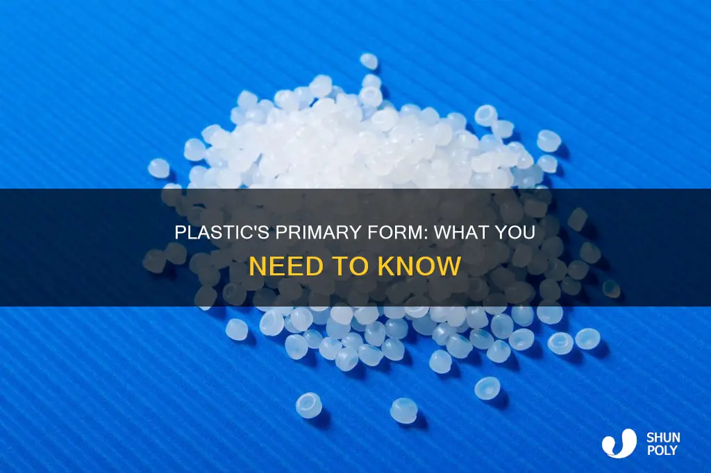 what is plastic in primary form