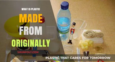 Unveiling Plastic's Origins: The Surprising Natural Sources Behind Its Creation