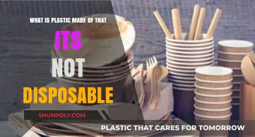 Plastic's Persistent Problem: Uncovering the Non-Disposable Ingredients