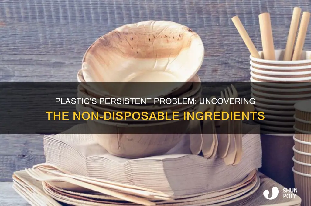 what is plastic made of that its not disposable