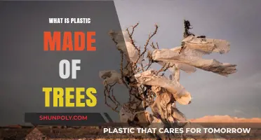 Plastic from Trees: Unveiling the Surprising Connection to Nature