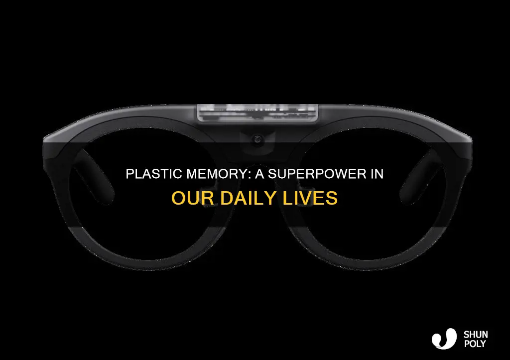 what is plastic memory real time example
