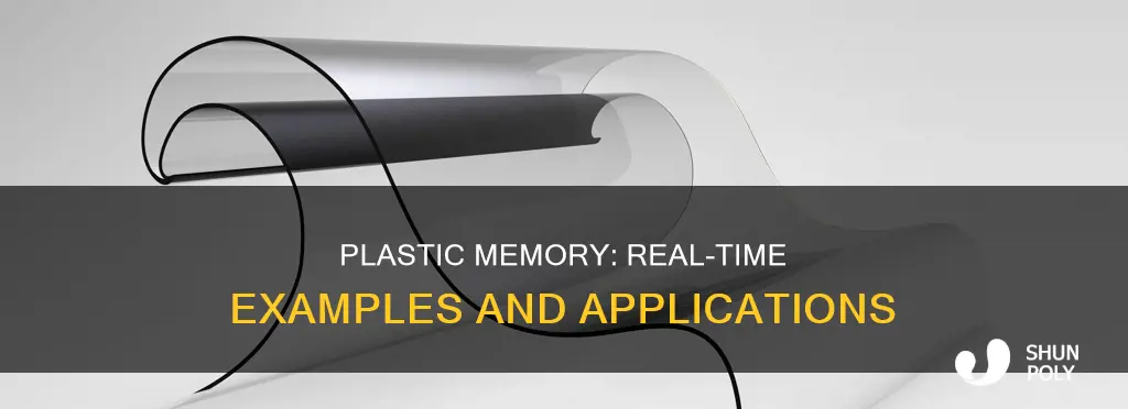 what is plastic memory realtime ex