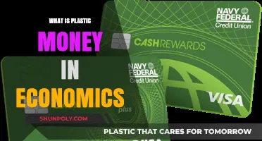 Plastic Money: Economics of Cards