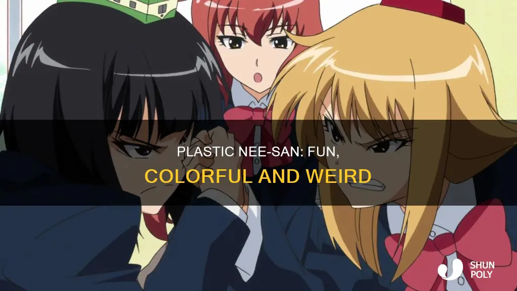 what is plastic nee san about