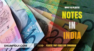 India's Plastic Notes: Future of Currency