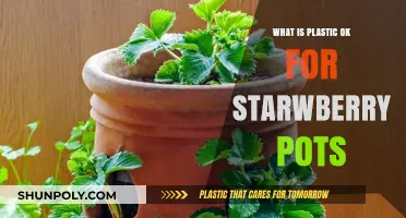 Strawberry Pots: Plastic Pros and Cons