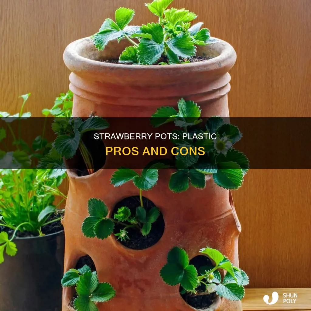 what is plastic ok for starwberry pots