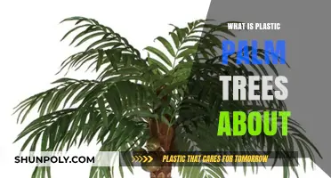 The Beauty of Plastic Palm Trees