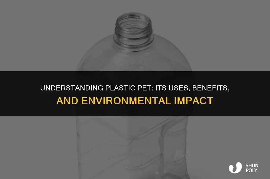 what is plastic pet