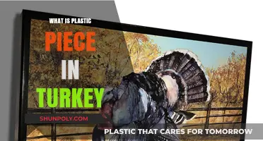 Turkey's Plastic Piece Mystery: What's the Deal?