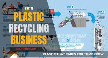 Lucrative Plastic Recycling: A Business Guide