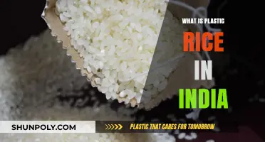 Plastic Rice in India: A Growing Concern?